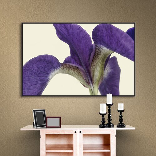 Purple Framed Art You Ll Love Wayfair